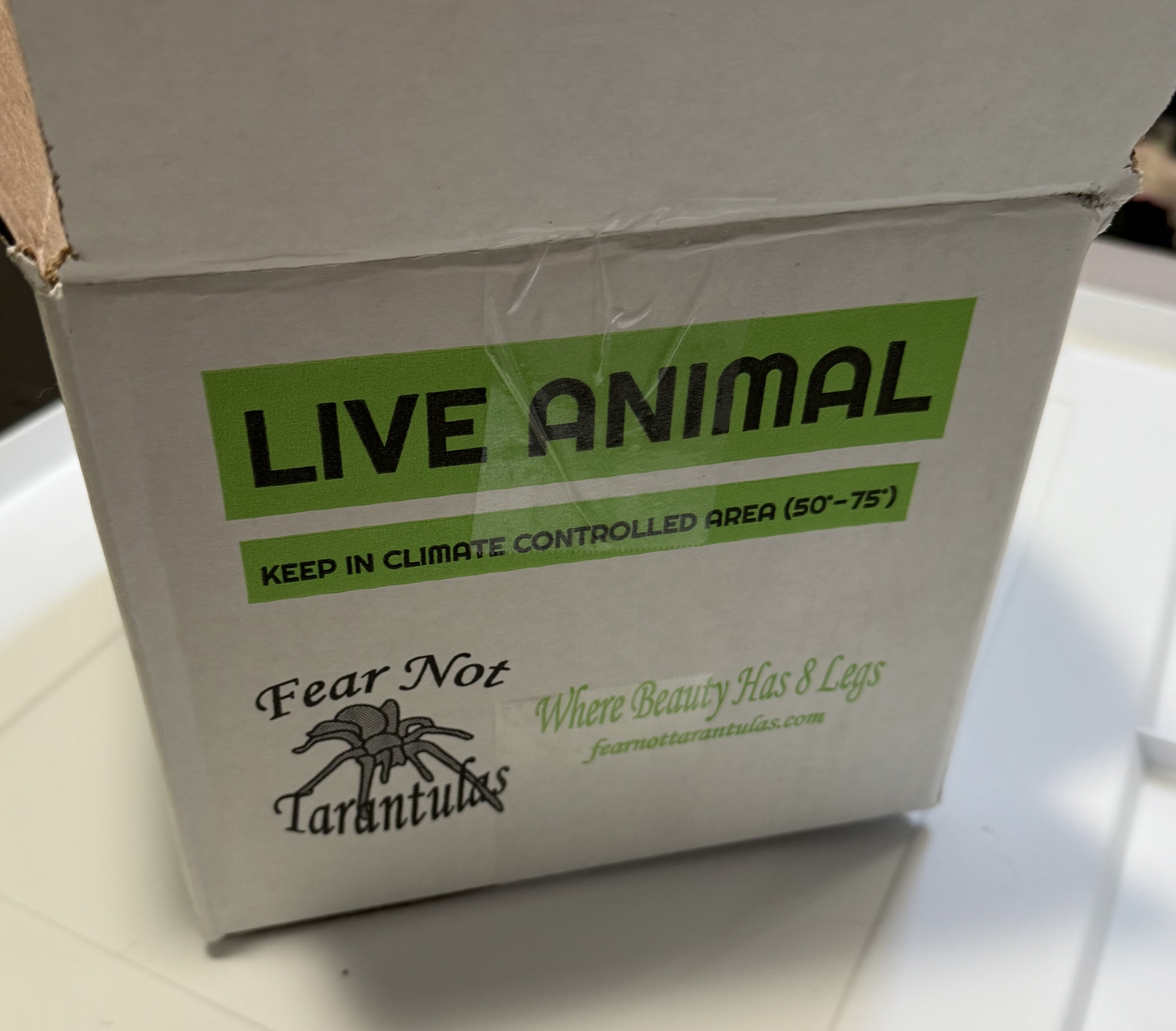 A box from Fear Not Tarantulas showing the Live Animal labeling