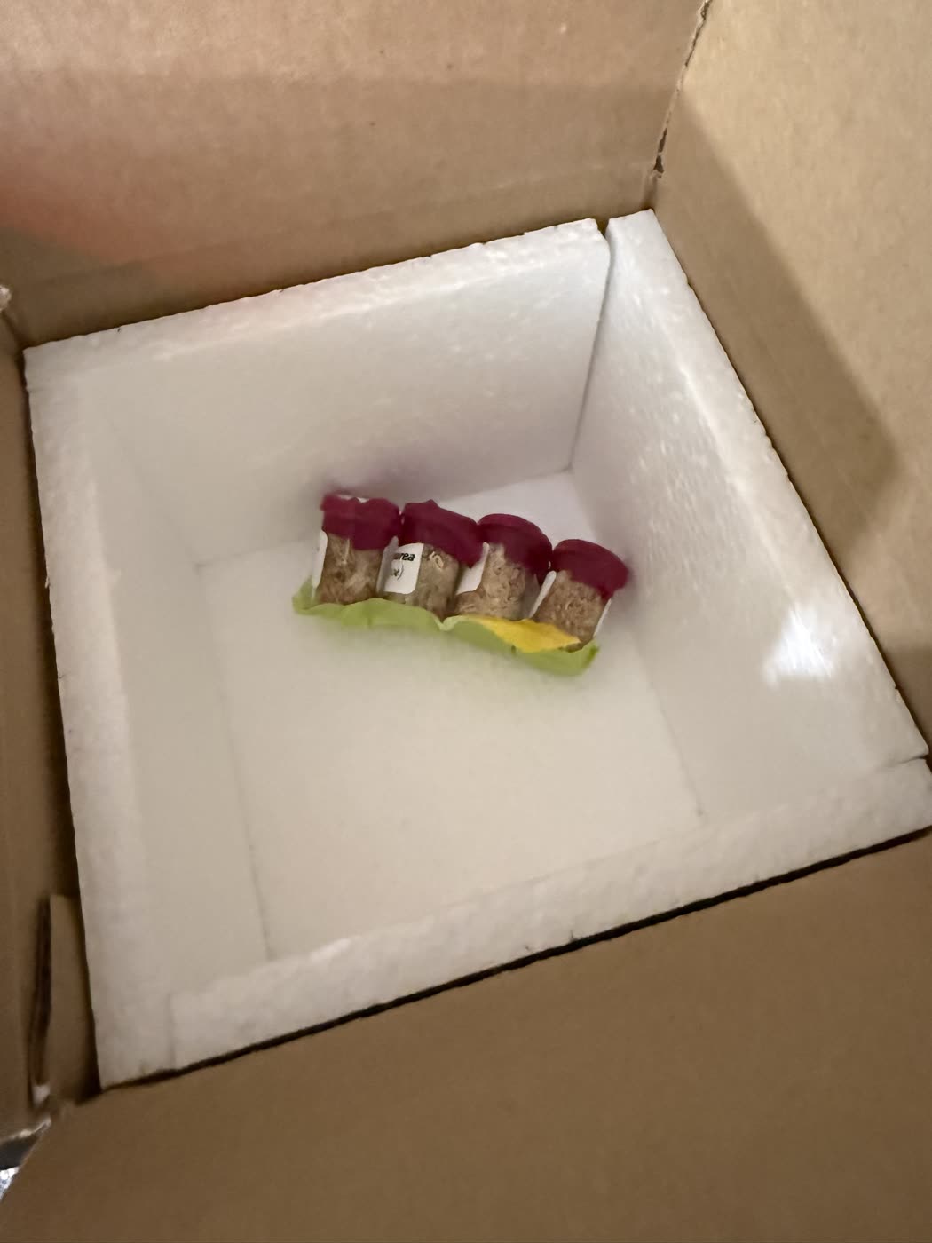An open shipping box with a foam liner and four small capped vials sitting together in the middle