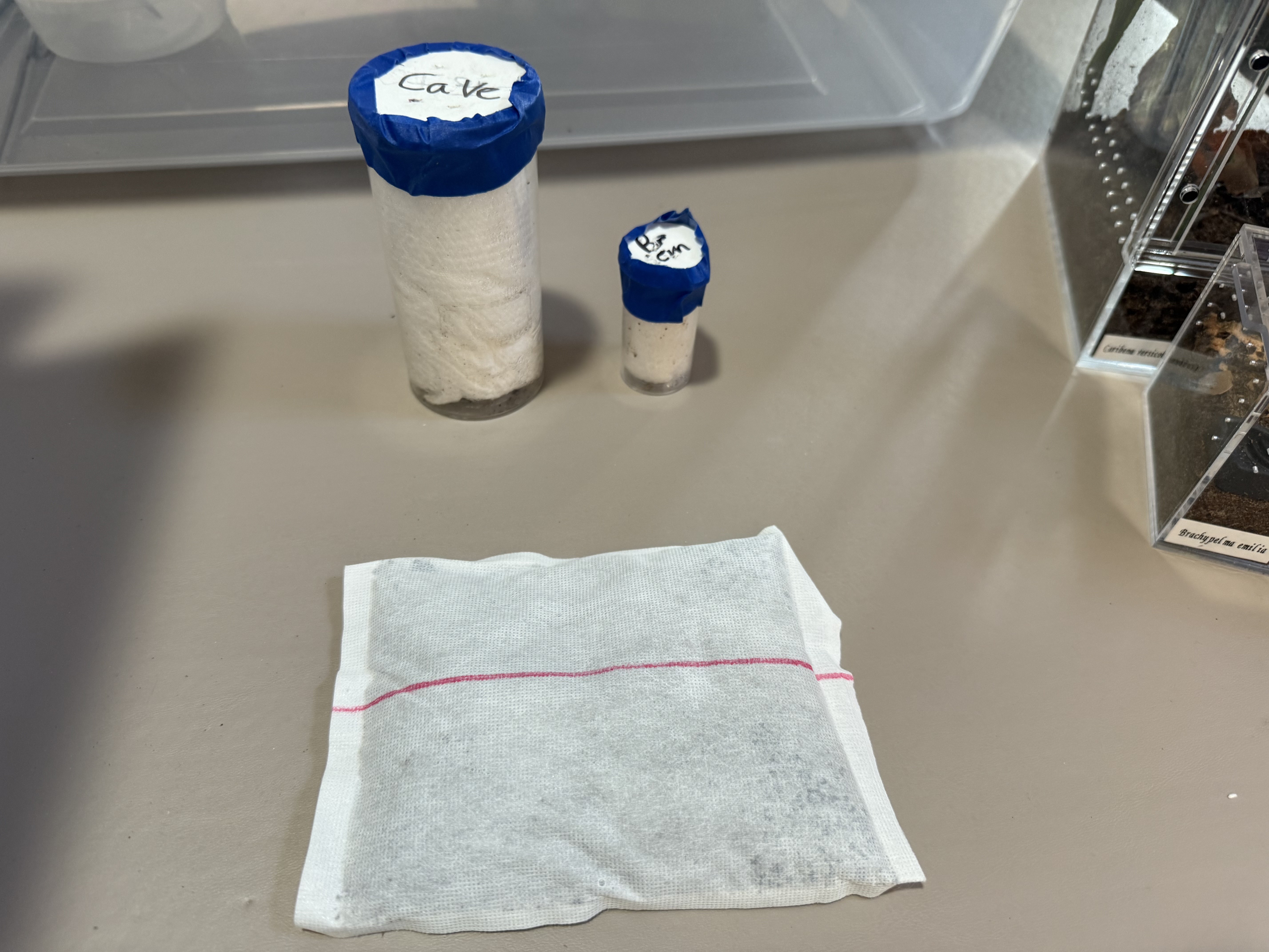 Contents of the package, two vials and a heat pack