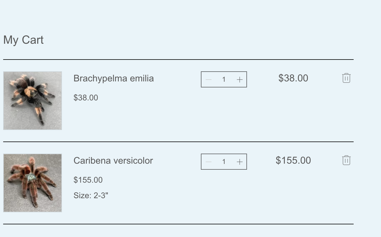 Bundle view or cart with items