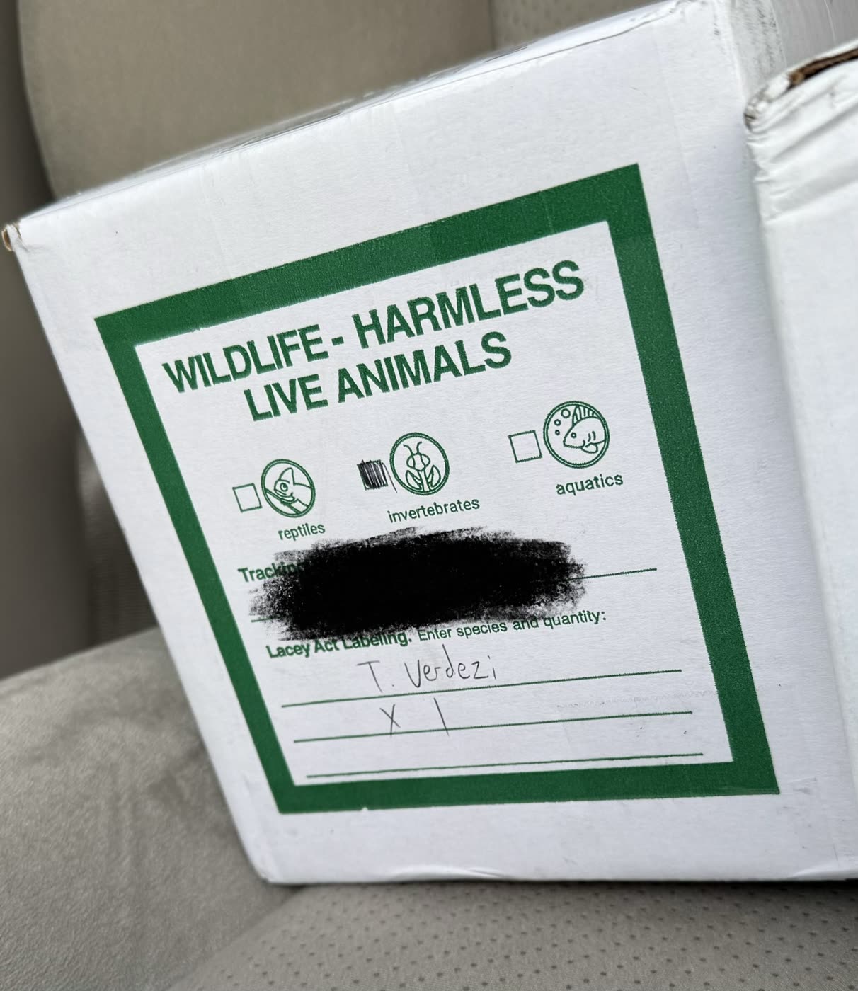 Shipping box with a green Wildlife - Harmless Live Animals label. The invertebrates box is checked, and the Lacey Act species field is filled in by hand with T. verdezi, quantity one.